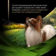 Сухой диетический корм Purina Pro Plan Veterinary Diets HA St/Ox Hypoallergenic для щенков и взрослых собак малых пород для снижения признаков ингредиентной и нутриентной непереносимости 1.4 кг (8445290996930) - изображение 5