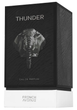 Парфумована вода унісекс French Avenue Thunder 100 мл (6290360379517) - зображення 3