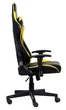 Крісло для геймерів 1stPlayer FK2 Black/Yellow ( 14382 ) - изображение 1