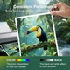 Комплект совместимых картриджей MEGOFFICE 503XL (Multipack 4 шт.) для принтеров Epson Expression Home и WorkForce - изображение 4