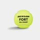 Мячи для большого тенниса Dunlop Fort All Court TS Tennis Balls 4B 4 шт - изображение 2