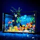 3D Конструктор Aquaria Набор Большой Аквариум с рыбками 725 деталей (01828) - изображение 2