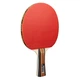 Набор для настольного тенниса Joola Family Advanced 4 Bats 6 Balls (54823) - изображение 2
