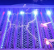 Уничтожитель насекомых Mosquito Killer Hk-1217 - изображение 4