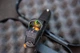 Приціл коліматорний Sig Optics ROMEO1, 1x30MM, 6MOA, 1.0 MOA ADJ (5003284) - изображение 5