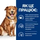 Hill’s PRESCRIPTION DIET Derm Complete Сухой корм для собак при пищевой аллергии и атопическом дерматите, 4 кг - изображение 3