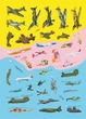 Книжка з наліпками. Літаки - зображення 5