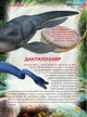 Книга «Динозаври та інші давні тварини». Автор - Олег Зав'язкин - изображение 6