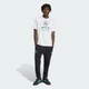 Мужская футболка Mercedes - Amg Petronas Formula 1 Team Dna Graphic adidas KE8164 (M) белый (4068819545590) - изображение 3