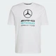 Мужская футболка Mercedes - Amg Petronas Formula 1 Team Dna Graphic adidas KE8164 (M) белый (4068819545590) - изображение 6