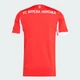 Мужское домашнее джерси FC Bayern 25/26 Home adidas JJ2137 (S) красный (4068809811506) - изображение 7