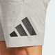 Чоловічі шорти Essentials Big Logo Single Jersey adidas IS6908 (S) сірий (4067906136222) - зображення 5