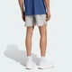 Мужские шорты adi365 Running Essentials adidas JZ7766 (XL 18 см) серый (4068822577465) - изображение 2