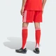 Чоловічі домашні шорти FC Bayern 25/26 Home adidas JJ2133 (2XL) червоний (4068809650563) - зображення 2