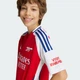 Дитяче джерсі Arsenal 24/25 Home Kids adidas IS8141 (152) червоний (4067894009751) - зображення 4