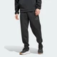 Чоловічі спортивні штани New adidas Z.N.E. adidas JD9599 (S) чорний (4067896617718) - зображення 1
