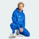 Мужские брюки-карго ALL SZN Fleece Graphic Loose adidas JJ3663 (S) синий (4067902778853) - изображение 3