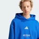 Мужское худи ALL SZN Fleece Graphic adidas JJ3667 (S) синий (4067902893396) - изображение 4