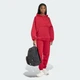 Женские брюки Future Icons Small Logo adidas KD7716 (XS) Бордовый (4068815322058) - изображение 3