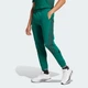 Мужские джоггеры Future Icons 3-Stripes adidas IW8573 (4XL) зеленый (4067896656915) - изображение 1