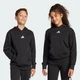 Детское худи Essentials Kids adidas JC9772 (176) черный (4067901420302) - изображение 6