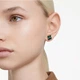 Сережки-гвоздики SWAROVSKI IDYLLIA у вигляді щасливої ​​чотирилистої конюшини, жіночі сережки, подарунок на день народження для жінок, 5666236 - зображення 4
