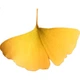 Браслет миру Yangchuangshishang з китайського золота та нефриту Hetian з пряжкою для жінок, новий стиль 2026 року, подарунок на день народження для дівчаток, матерів та дружин, S925 - изображение 1