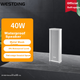 Потолочный динамик WESTDING 3020, водонепроницаемый, 40 Вт - изображение 1