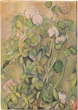 Notatnik Paperblanks Terracotta w linie 13 x 18 cm 144 strony (9781439797884) - obraz 3