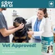 CBD-краплі для собак великих порід CODY Pet Co 9%, 30 мл | THC FREE | Ізолят CBD | Омега-3+6 | 15–44 кг - зображення 9