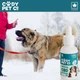 CBD-краплі для собак великих порід CODY Pet Co 9%, 30 мл | THC FREE | Ізолят CBD | Омега-3+6 | 15–44 кг - зображення 10