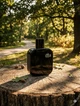 Парфуми Lacoste Eau De L.12 12 Noir Intense 100 мл чоловічі фужерно-деревний аромат з кавуном лавандою та темним шоколадом - зображення 2