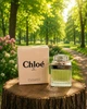 Парфуми Chloé Eau De Parfum 75 мл жіночі квітково-амбровий шлейф з півонією трояндою та кедровими акордами - зображення 1