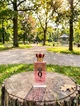 Парфуми Dolce & Gabbana Q 100 мл жіночі фруктово-фужерний аромат з лимоном вишнею та кедром яскравий шлейф висока стійкість - зображення 3
