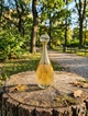 Парфюм Christian Dior J'adore 100 мл женские утонченный цветочно-фруктовый шлейф с бергамотом жасмином и ванильными аккордами - изображение 3