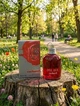 Парфюм Cacharel Amor Amor 100 мл женский цветочно-фруктовый аромат с грейпфрутом абрикосом и ванилью шлейф - изображение 1