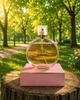 Парфюм Chanel Chance 100 мл женские элегантный цветочно-мускусный аромат с жасмином ванилью и белым мускусом - изображение 1