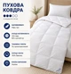 Пуховое одеяло Billerbeck Магнолия К0 155x215 см белый 0590-00/05 - изображение 7