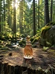 Парфуми Jimmy Choo I Want Choo 100 мл жіночі з персиком жасмином та ваніллю солодкий квітково-фруктовий аромат - зображення 3