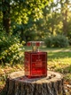 Нішеві парфуми Kajal Ruby 100 мл унісекс з ананасом вишнею кокосом та ваніллю реліз 2025 яскравий шлейф - зображення 2