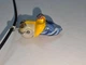 Скляний підвіс ISTA Lampwork на каучуковому шнурі 44-48см, R23 - зображення 7