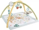 Килимок розвиваючий Fisher-Price: Simple Senses - Newborn Gym (JMN74) (194735382286) - зображення 2