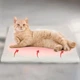 Самонагревающийся коврик для животных теплый коврик для собак и кошек с чехлом - изображение 1