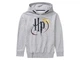 Худі двунитка для хлопчика Disney Harry Potter 423827 146-152 см (10-12 years) сірий - зображення 1