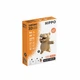Картонний конструктор "Cartonic Collectible HIPPO" - зображення 7