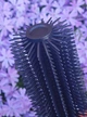 Гребінець для самозахисту Cold Steel Honey Comb Dagger ,масажний гребінець полімер Zy-Ex (92HC) - зображення 10