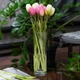 Ваза скляна Pasabahce Botanica 265 мм (43767) - зображення 2