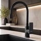 Смеситель для кухни DOMINO MALIBU DMM-203 LR-BLACK-BLACK - изображение 1