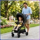 Дитяча прогулянкова коляска-книжка Bambi M 6317 LITE Black алюмінієва рама, ремені безпеки - зображення 7