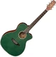 Gitara elektroakustyczna Takamine LTD2025 - obraz 2